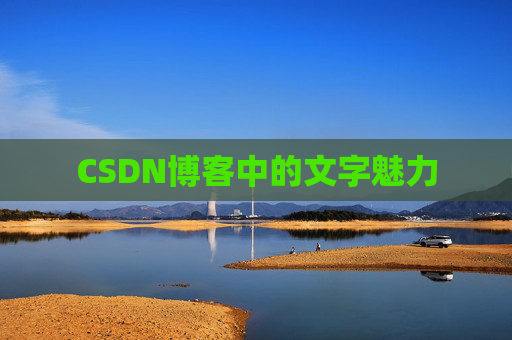 CSDN博客中的文字魅力